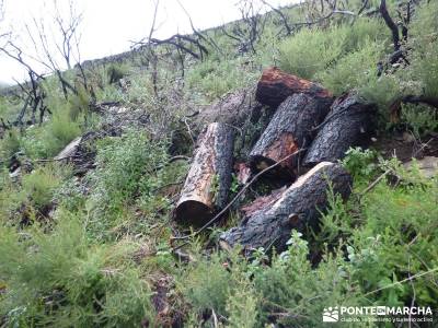 Sierra Gata - Senderismo Cáceres; puente de octubre la selva de irati patones de abajo sierra cebol